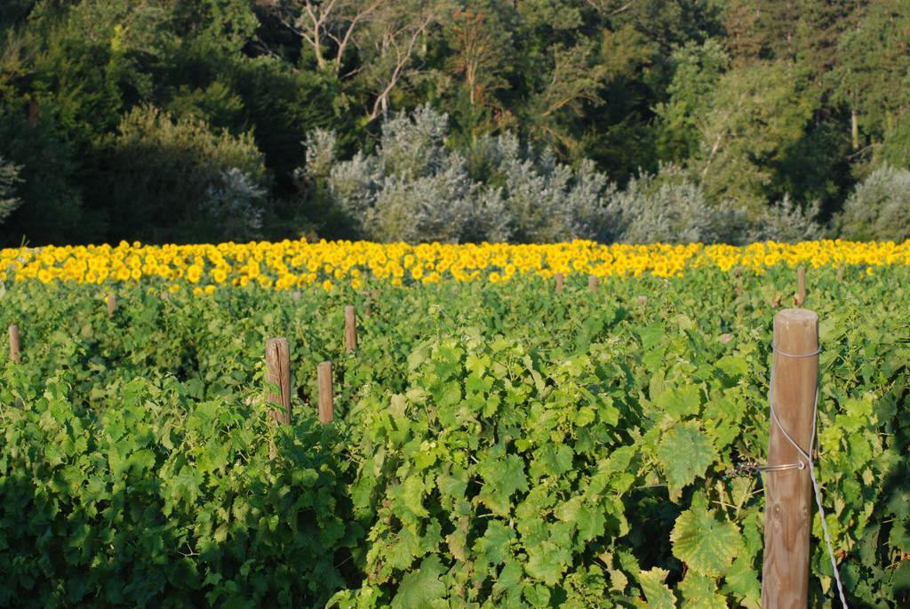 Casarciccia Todi Exterior foto