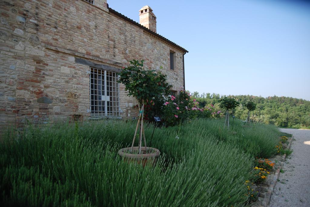 Casarciccia Todi Exterior foto